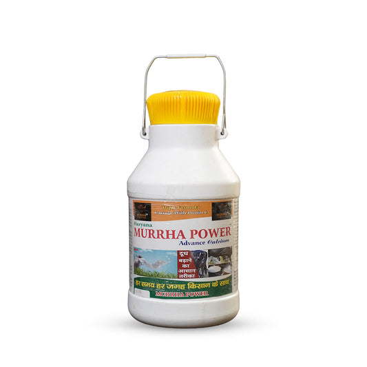 Murrha Power – Advance Calcium Supplement for Dairy Cattle