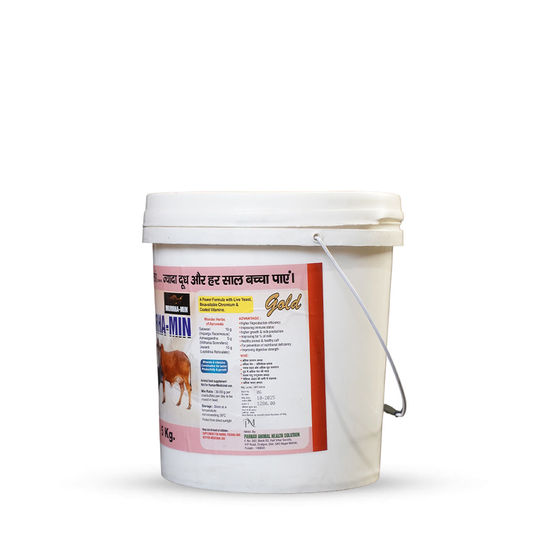 Chelated Murrha-Min – Premium Mineral Mixture for Dairy Cattle