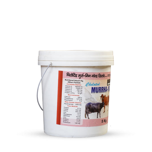 Chelated Murrha-Min – Premium Mineral Mixture for Dairy Cattle