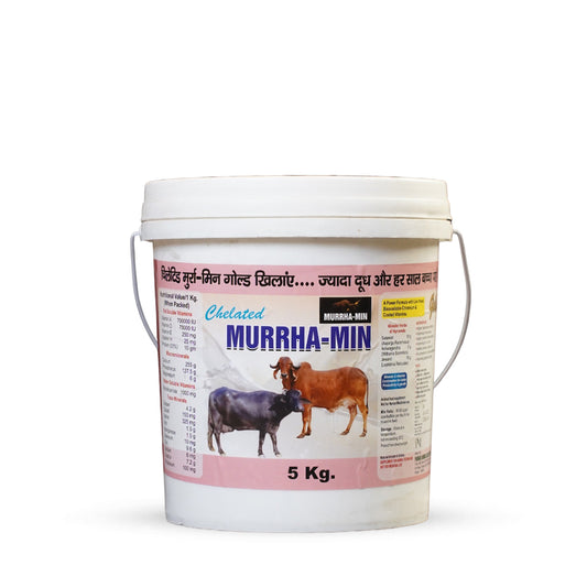 Chelated Murrha-Min – Premium Mineral Mixture for Dairy Cattle